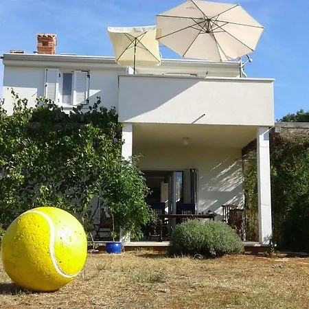 App Segi * Novigrad Istria
